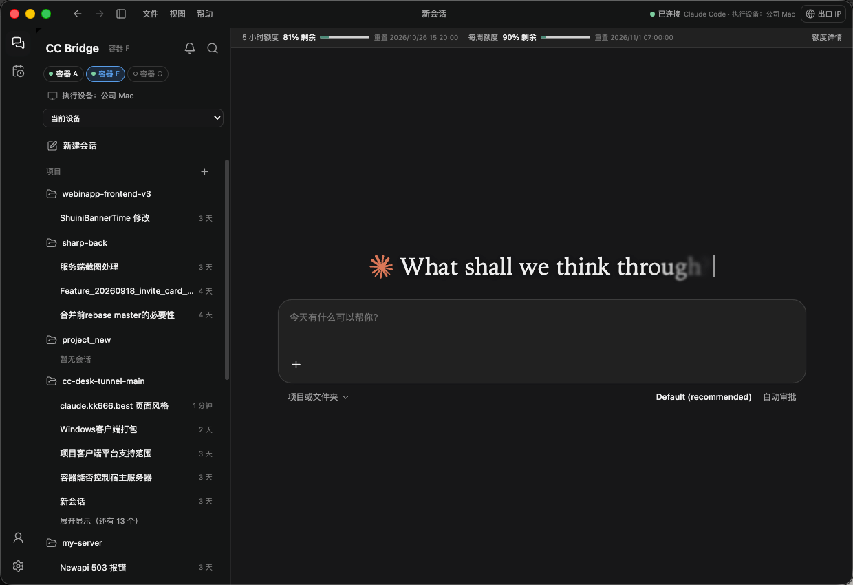 真实使用中的客户端：顶栏显示额度，左侧是实例切换和项目列表